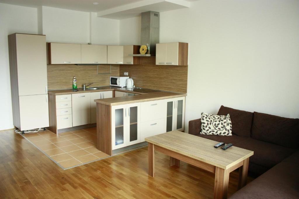 Rezidence Certovka Apartment Karlovy Vary Room photo